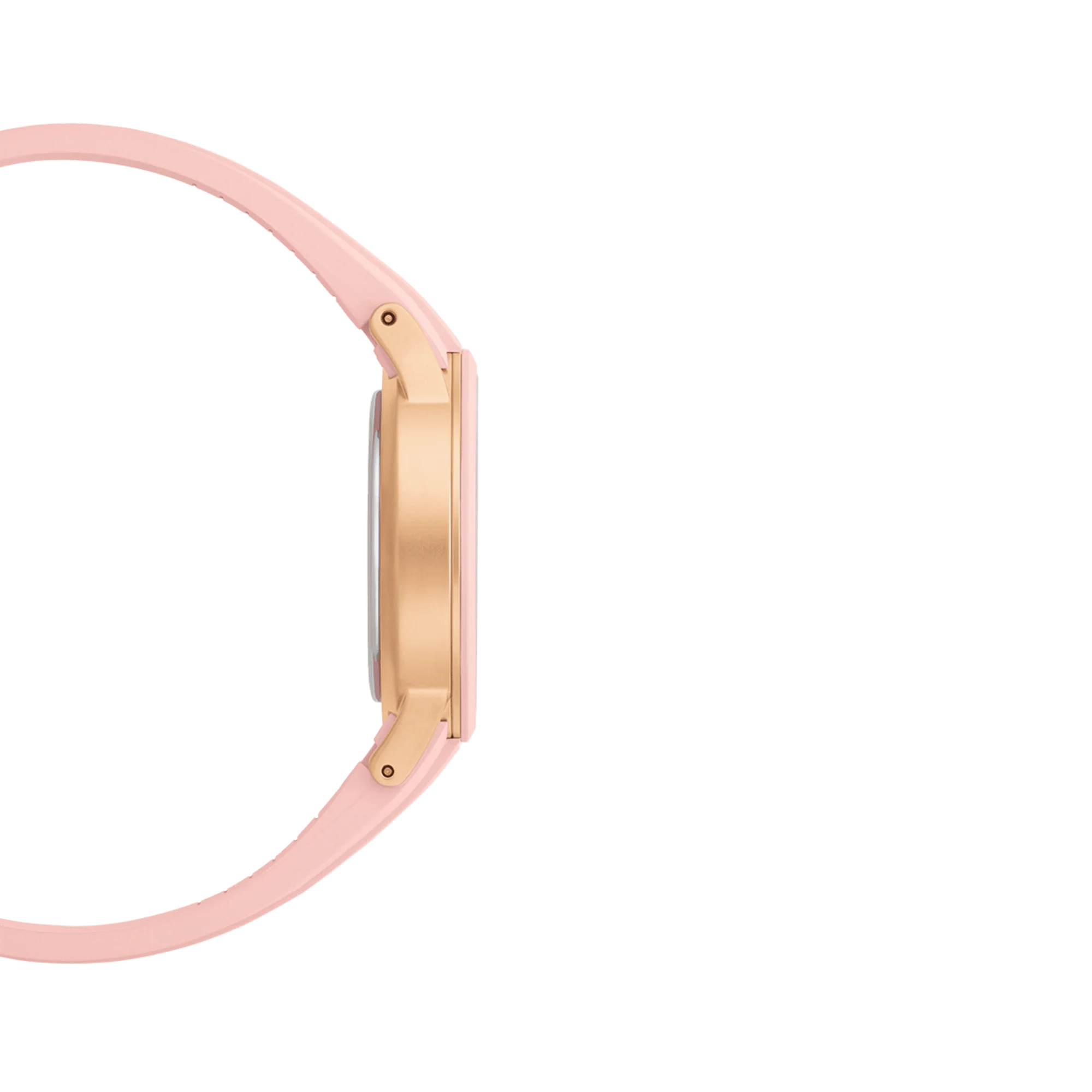 Iconic Motion - Image 3